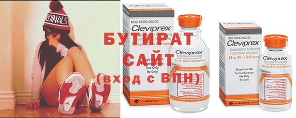 прущие грибы Ельня