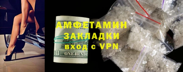 прущие грибы Ельня