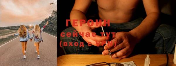 прущие грибы Ельня