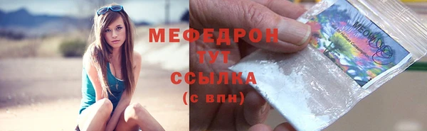 прущие грибы Ельня