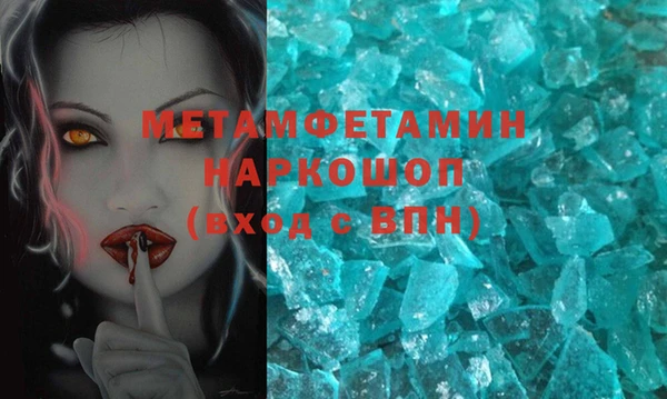 прущие грибы Ельня