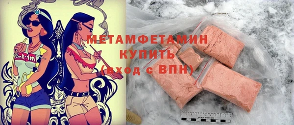 прущие грибы Ельня