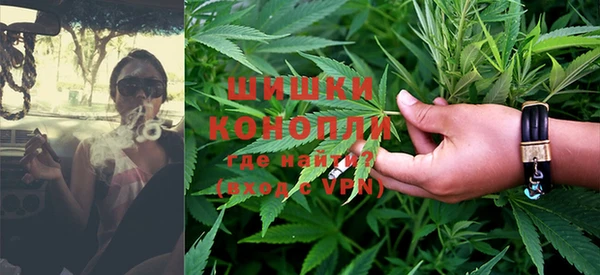 хмурый Елизово