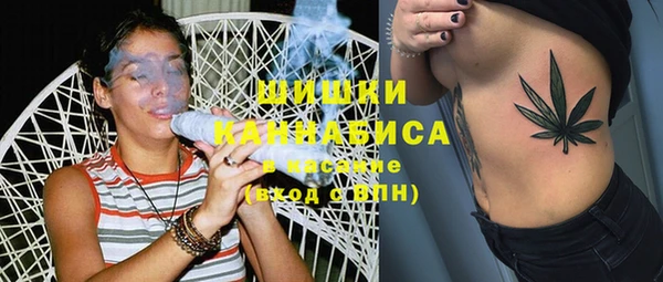 прущие грибы Ельня