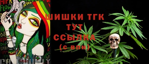 хмурый Елизово