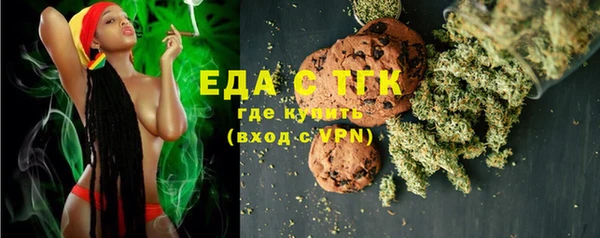 прущие грибы Ельня
