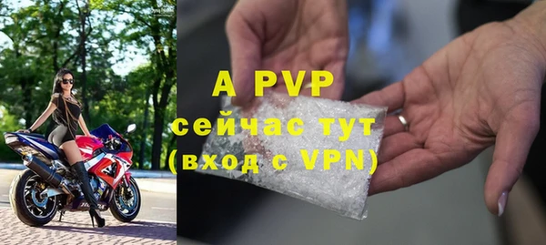 прущие грибы Ельня