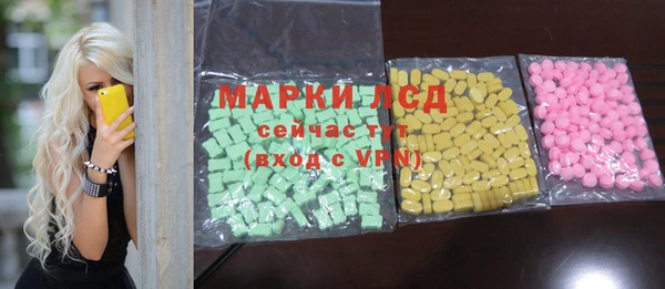 прущие грибы Ельня