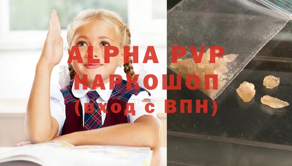 прущие грибы Ельня