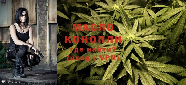 прущие грибы Ельня