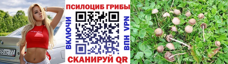 Псилоцибиновые грибы MAGIC MUSHROOMS  Купить где  Уржум 